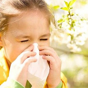 Nasıl Çalışıyoruz