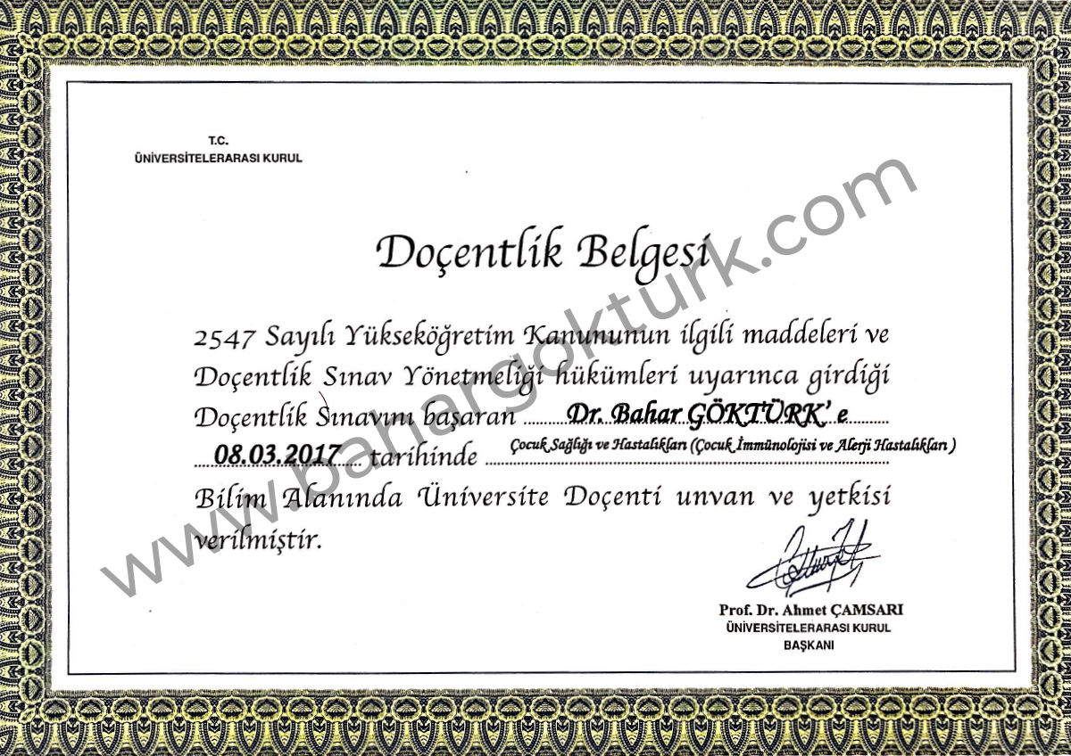 Doçentlik Belgesi