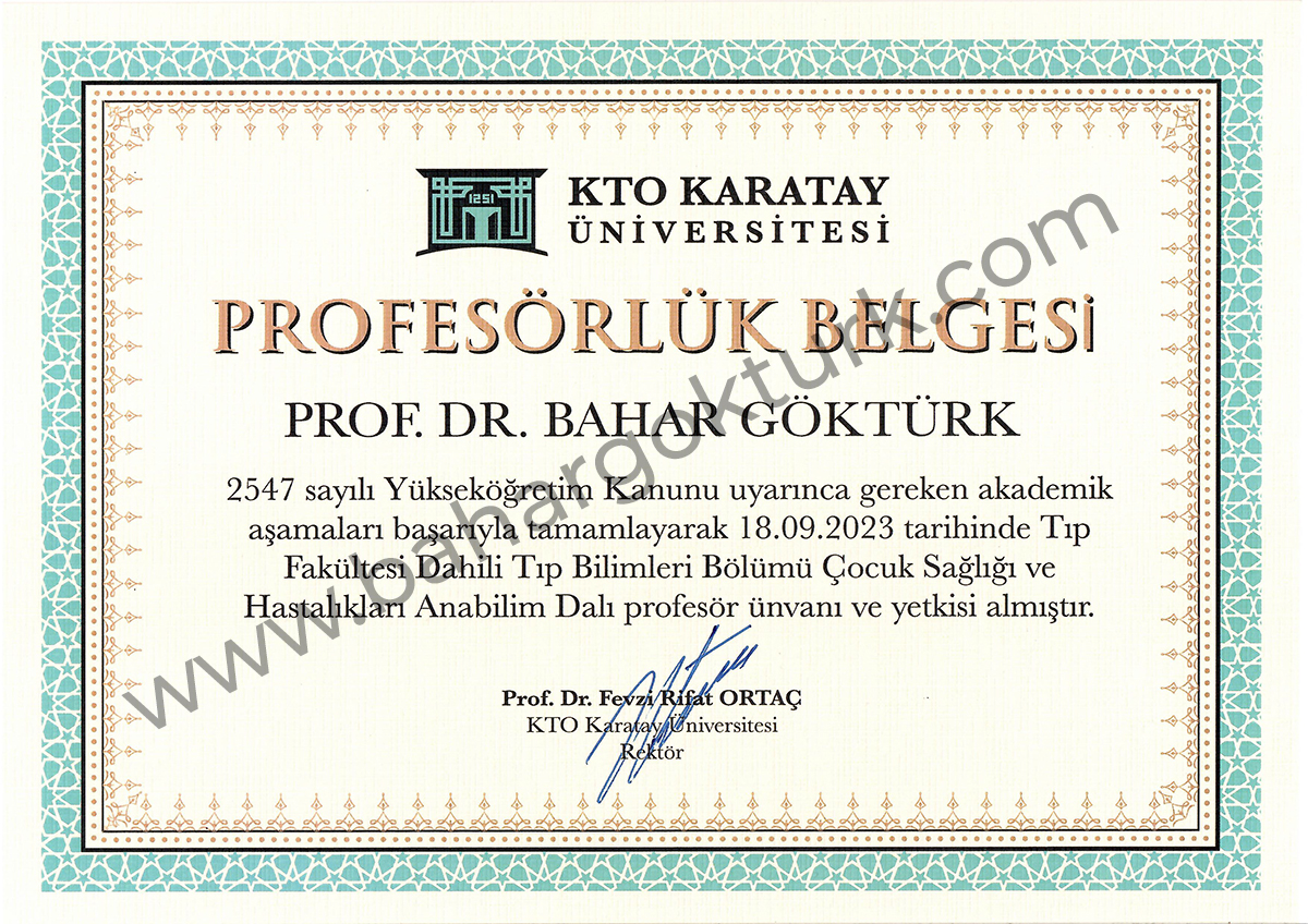 Profesörlük Belgesi